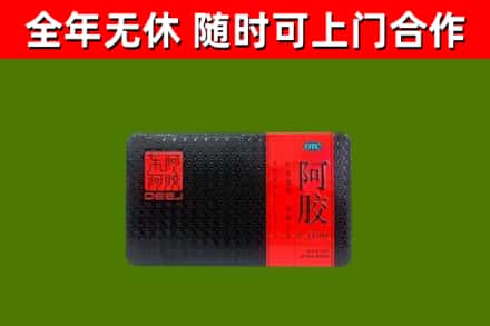 惠来回收阿胶